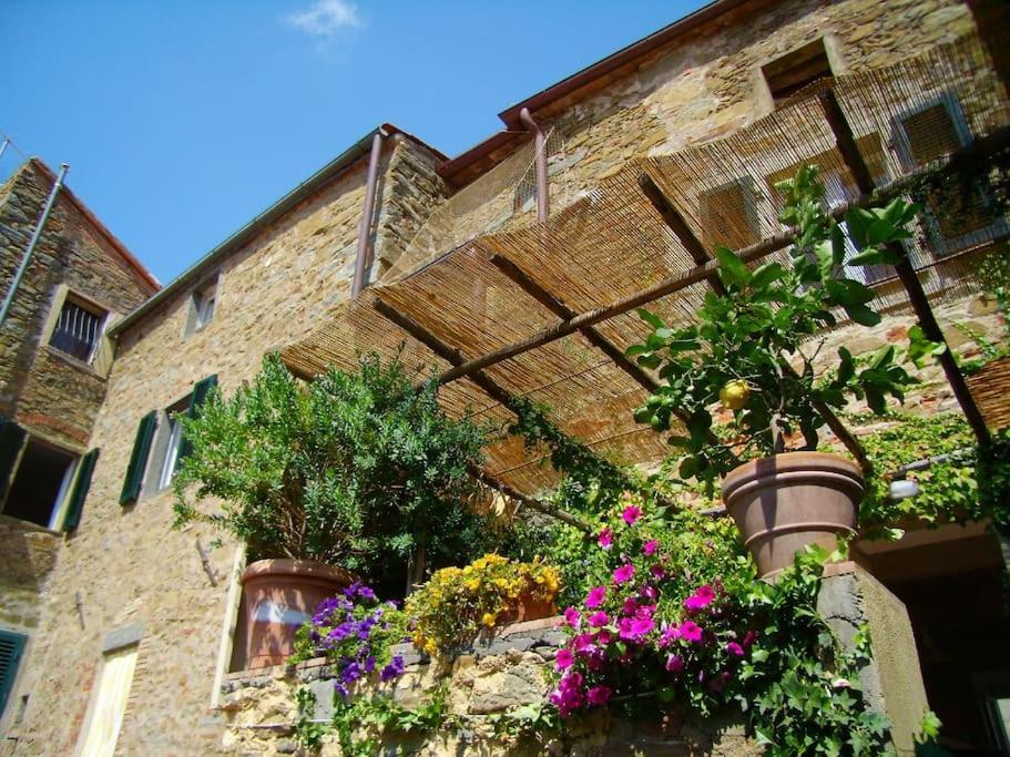 Near The Sea Big Panoramic House 2 Terraces In Lovely Village 몬티아노 외부 사진