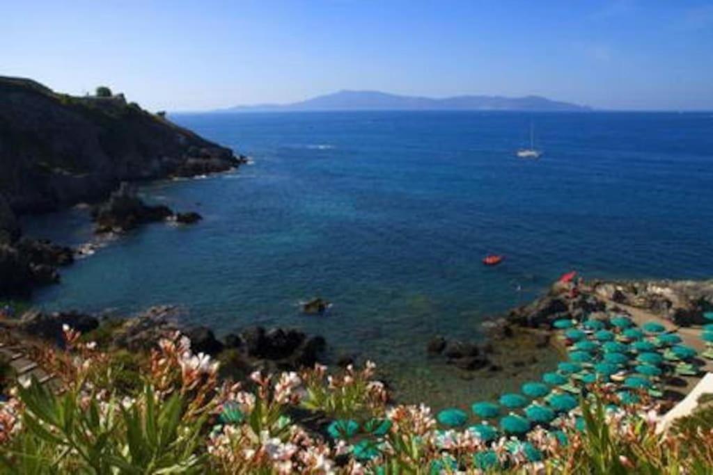 Near The Sea Big Panoramic House 2 Terraces In Lovely Village 몬티아노 외부 사진