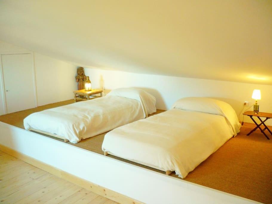 Near The Sea Big Panoramic House 2 Terraces In Lovely Village 몬티아노 외부 사진